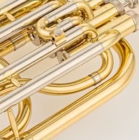 Alto Horn Eb Key 3 Upright Pistons Gold Lacquer Finish Brass Instruments with Stainless Steel Pistons for Beginners and Band
