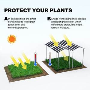 Agri PV Compatible 2 + 2mm Vidrio templado Media celda Mono Panel solar IP67 Caja de conexiones para uso agrícola - Product Image 6