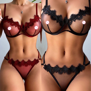 Iç çamaşırı erotik sutyen G-string setleri seksi ince örgü See Through kadın iç çamaşırı 2 parça dantel kadın seksi iç çamaşırı - Product Image 4