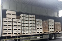 Batterie industrielle LiFePO4 500 kWh ESS avec armoire haute tension 100 kW à refroidissement par air pour l'égalisation des pics de consommation solaire en Europe