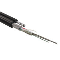 Cable de Fibra Óptica Aéreo de Doble Cubierta No Metálica para Proyectos de Comunicación en Líneas Eléctricas