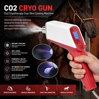 Pistolet de cryothérapie CO2 portable CryoGunSpray -15, le plus récent ℃   Appareil de cryothérapie apaisant pour la peau, pour soulager les rougeurs après traitement