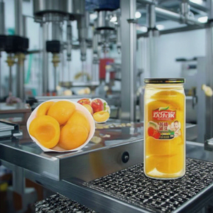 Línea de Producción a Precio de Fábrica para Piña y Melocotón Enlatados, Frutas y Verduras en Envases de Vidrio de Acero Inoxidable, Motor y Engranajes - Product Image 1