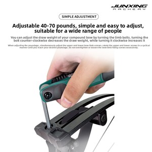 Junxing Home-made Hoyt RX10 Professional Composite <b>Bow</b> High 70 Pounds Adjustable H21 High Ensures Accurate Shots Every - Product Image 2