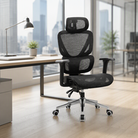 Fauteuil de bureau moderne de style nouveau avec support lombaire ergonomique réglable, repose-pieds en maille à motif poisson, accoudoirs et fonction pivotante