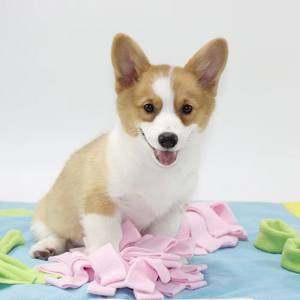 حصيرة استكشاف للحيوانات الأليفة، حصيرة تدريب على البحث عن الطعام للكلاب، حصيرة تغذية بطيئة - Product Image 1