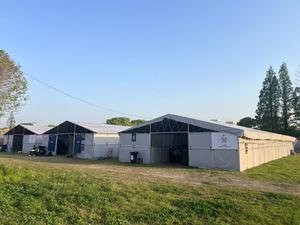 户外农场和马主防水重型马箱摊位经济型模块化避难所 - Product Image 2