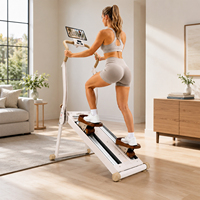 Monte-escalier magnétique Flexihome de haute qualité, pliable et professionnel pour la maison