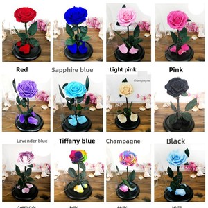 <span class=keywords><strong>Petit</strong></span> <span class=keywords><strong>Prince</strong></span> Rose, fleur préservée sous cloche en verre, boîte cadeau 7-8cm pour Noël, la Saint-Valentin, anniversaire, cadeau créatif - Product Image 4