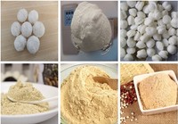 Línea de Producción Automática de Polvo Nutritivo, Máquina para Elaborar Polvo de Alimentos para Bebés