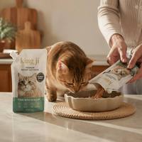 Personnalisé 121 ° Sachet Doypack pour aliments pour chats C Retort, en feuille d'aluminium haute température avec bec verseur, pour emballage de nourriture humide pour animaux de compagnie