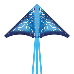 Nouvelle Arrivée Cerf-volant de Sport Volant pour Enfants en Tissu avec Cadre en Fibre de Verre, Cadeau Conçu en Forme d'Animal, Cerf-volant Delta - Product Image 5
