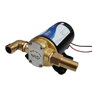 LANDTO high pressure dosing DC 12v 24v Pure copper gear oil pump