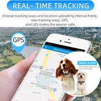 Nouveauté : Collier anti-perte pour chien et chat avec moniteur d'activité en temps réel, appel vocal, GPS intelligent 2G, mini traceur pour animaux de compagnie