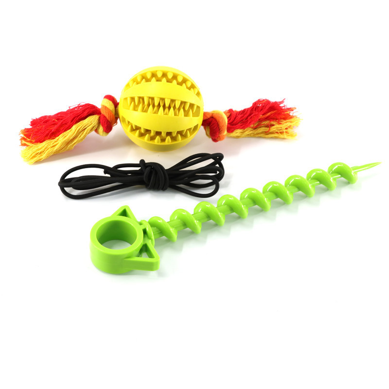 Jouets à mâcher pour chiens