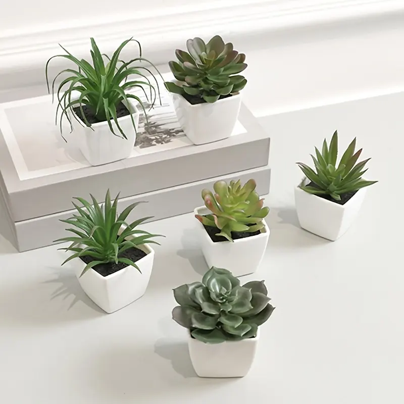 6pcs Plantes Succulentes Artificielles Bon Marché Mini Plantes En Pot Avec Pots Blancs Pour Fenêtre De Bureau Et Bibliothèque Décoration De La Maison