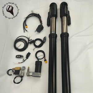 Amortiguador <span class=keywords><strong>de</strong></span> motocicleta, llama púrpura, personalizado, modificado, Universal, motocicleta, Amortiguador delantero invertido - Product Image 1