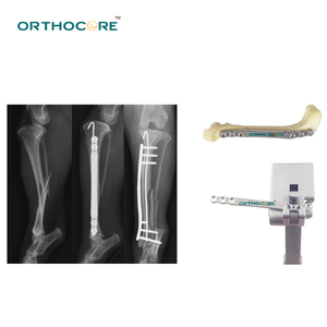 Plaque de fixation allongée en acier inoxydable de 2,7 mm pour implants orthopédiques vétérinaires pour la chirurgie canine et des animaux de grande taille - Product Image 5
