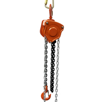 Palans à chaîne manuels de 1 tonne, portée de levage de 2,5 m à 12 m, palan à chaîne manuel robuste avec chaîne de charge G80 pour le levage en atelier et en garage
