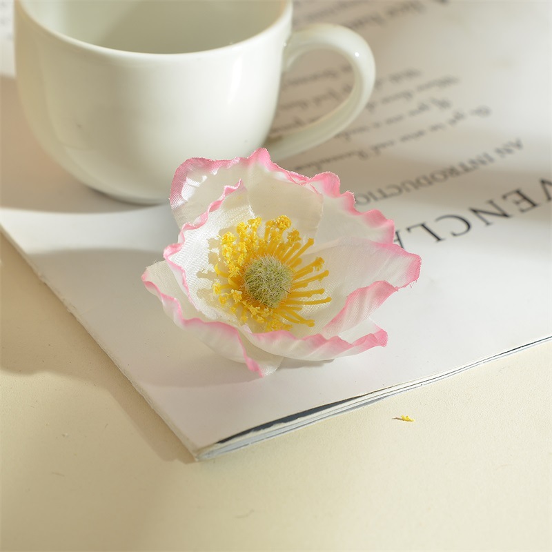 Pink-edged white