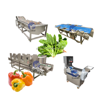 Automatische Bevroren Plantaardige Productielijn Okra Ui Wortel Broccoli Iqf Bevriezing Verwerkingslijn