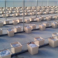Vente chaude Fabrication de pots de fleurs Système de seaux hollandais Seau hollandais pour légumes