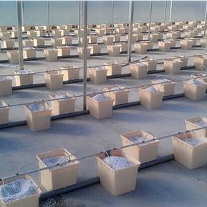 Vente chaude Fabrication de pots de fleurs Système de seaux hollandais Seau hollandais pour légumes - Product Image 2