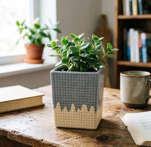 Vente Flash 2026 : Pots de fleurs carrés en céramique, directement de l'usine, pour la décoration moderne de la maison, du bureau et du <span class=keywords><strong>salon</strong></span> - Product Image 4