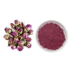 Hoang Dã Rose Hip chiết xuất từ quả bột tan trong nước 10:1 chiết xuất hoa hồng