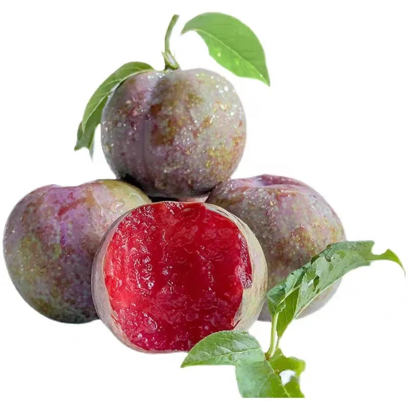 Delicious high quality 100% natural fresh organic red plums