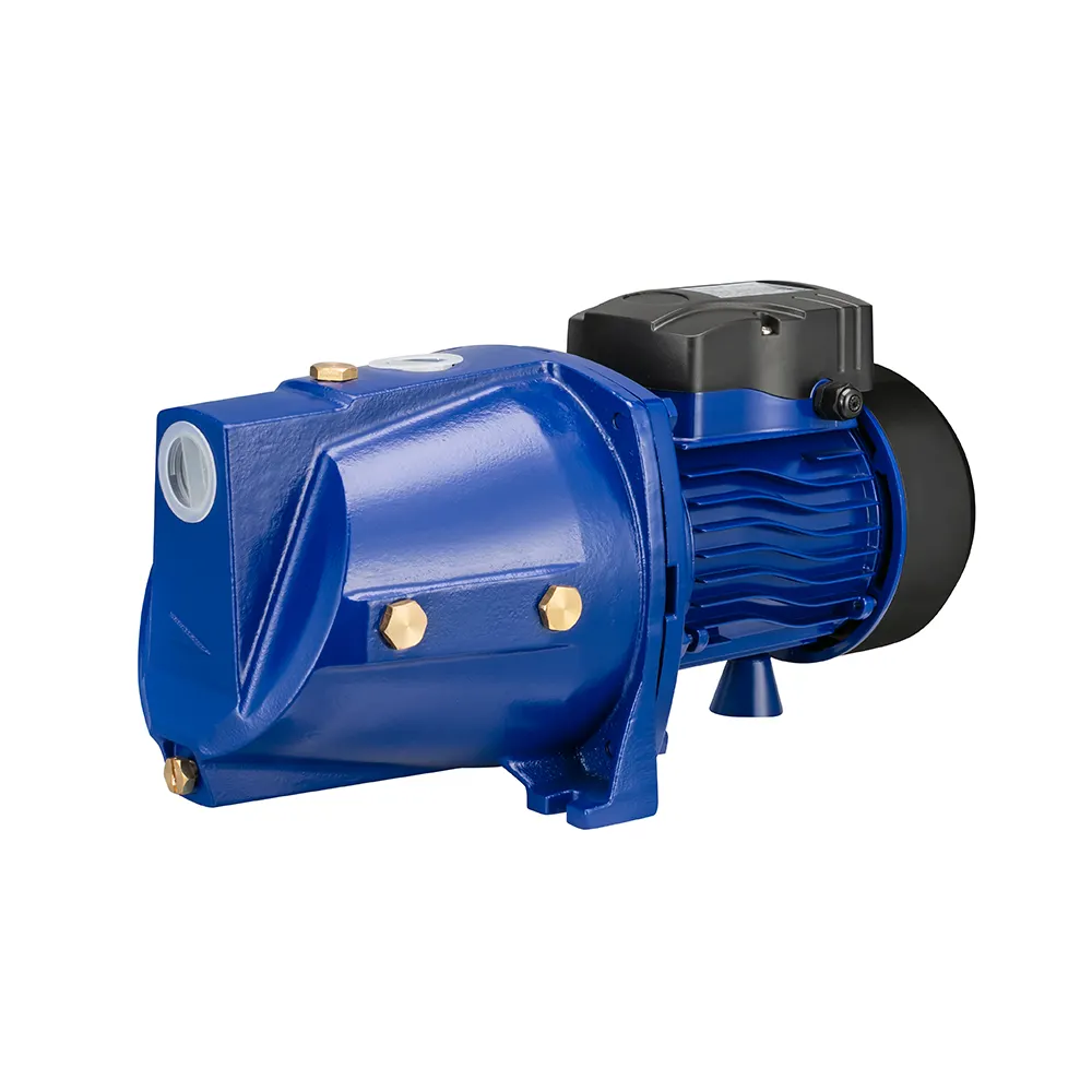 Большой объем внутреннего само-сосать 2hp двигатель Спецификация водного насоса