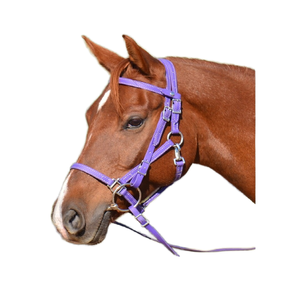 Brida de Resistencia para Equitación, PVC, Cómoda, Sin Bocado, Azul Claro, Diseño Personalizable, Modelo 7860B, Embalaje Personalizado - Product Image 1