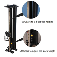 Machine à poulies murale Dinuo pour la musculation à domicile, avec système de poulies doubles réglables, pour exercices de tirage vertical et croisés, compatible avec les poids libres
