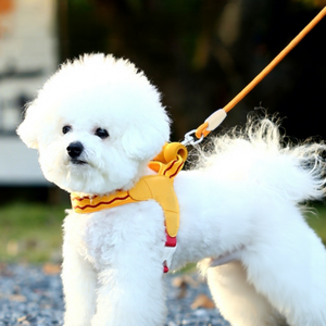 Arnés de Poliéster para Perro, Ecológico, Duradero, Personalizado, Tipo Silla de Montar, Arnés de Lujo para Perros de Raza Pequeña y Mediana - Product Image 5