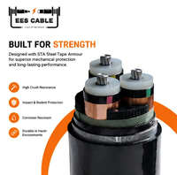 8.7/15kV 17.5kV NA2XSEBY MV 3 noyaux 25sqmm à 300sqmm câble d'alimentation YJLV22 AL XLPE PVC avec STA blindé IEC 60502-2 EESCABLE