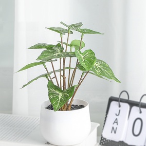 Decoraciones <span class=keywords><strong>de</strong></span> Escritorio para Sala <span class=keywords><strong>de</strong></span> Estar u Oficina, Plantas Artificiales en Maceta <span class=keywords><strong>de</strong></span> Seda Estilo Europeo Hechas a Mano, Flores Artificiales Realistas, Pequeñas y Verdes - Product Image 4