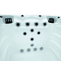 Piscine extérieure moderne Sunrans de 1,7 m de profondeur avec système Balboa, fonction spa intégré