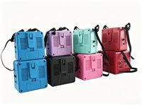 Mini amplificateur de guitare portable 5W, amplificateur d'entraînement pour guitare électrique, sortie casque, petit haut-parleur pour guitare électrique et basse