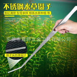 Herramientas para explorar la playa, pinzas para plantas acuáticas, alicates de limpieza de acuarios de acero inoxidable extendidos, alimentación de reptiles, herramientas para manipular con seguridad conchas - Product Image 5