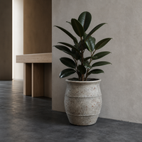 Pot de fleurs antique en ciment, en forme d'urne, effet vieilli, avec motif en corde, pots décoratifs pour plantes d'intérieur et d'extérieur, décoration de jardin et de maison