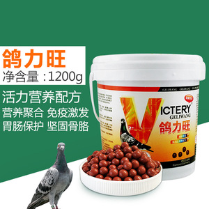 Hot Sale <strong>Pigeon</strong> Health Performance <strong>Supplement</strong> for Young &amp; Breeding <strong>Pigeons</strong> 1200 Pills Growth Body Development &amp; Moulting Booster - Product Image 5