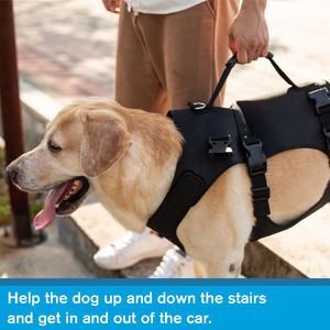 Correas de elevación transpirables ajustables para adultos mayores, lesiones en las articulaciones, artritis, parálisis, perros que caminan, arnés de elevación de rehabilitación para perros - Product Image 5