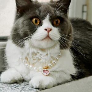 Collier ras du cou pour animaux de compagnie avec pendentif cœur en pierre précieuse, ornement de mode pour animaux, accessoires pour chats et chiens, utilisation quatre saisons - Product Image 2