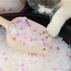 <span class=keywords><strong>Arena</strong></span> para <span class=keywords><strong>Gatos</strong></span> Económica de Larga Duración, Granulada de 1-8 mm, Libre de Polvo, de Gel de <span class=keywords><strong>Sílice</strong></span> Altamente Absorbente, Control de Olores, para <span class=keywords><strong>Gatos</strong></span> de Todas las Edades - Product Image 4