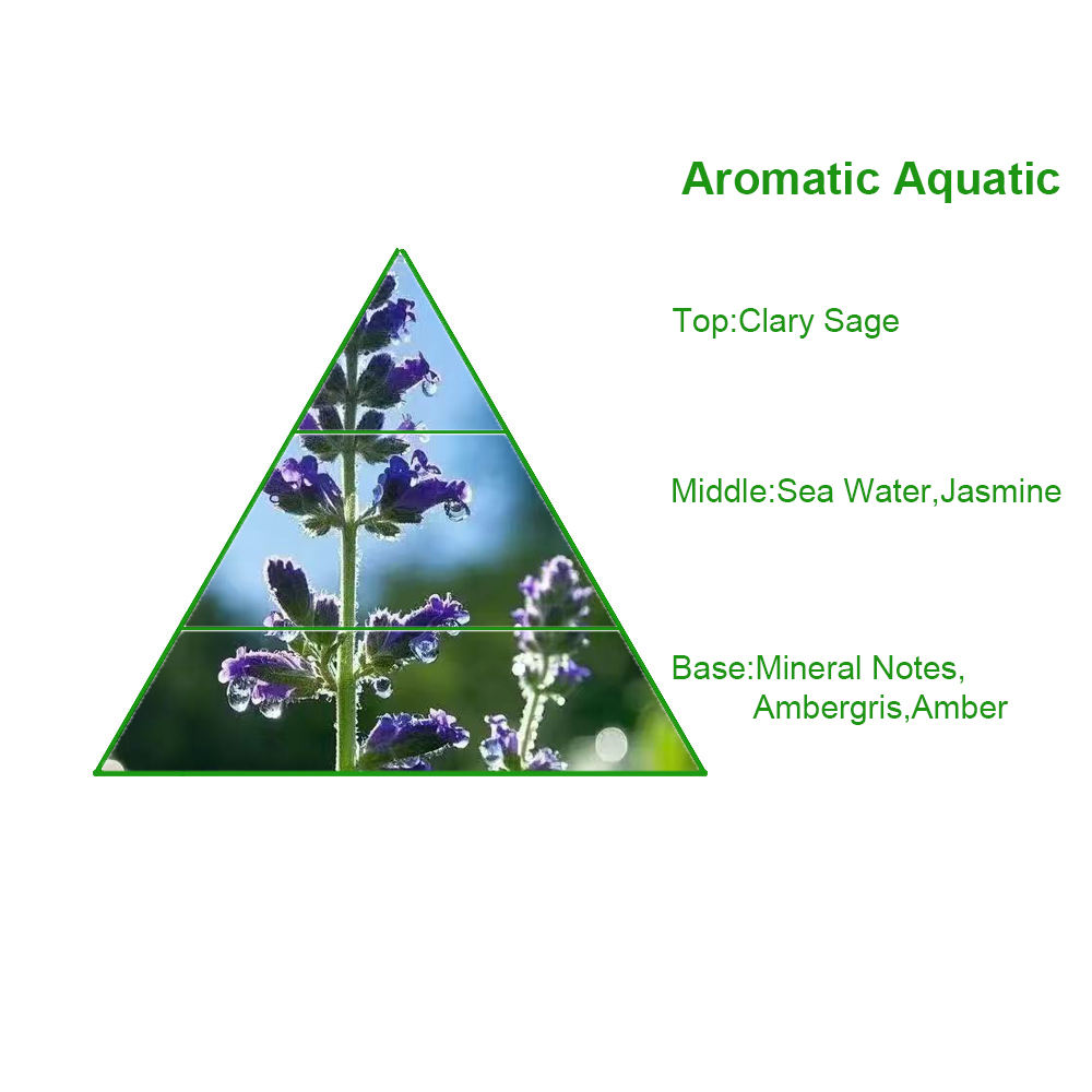 ORANGLES Hawas-Inspired Premium Perfume Oil | Long-Lasting Essential Oil for Perfume Making | Dubai Wholesale – Qatar - high resolution display - exposing craftsmanship - Image 2 of 6 | built for everyone | Hawas-Inspired Premium Perfume Oil | Long-Lasting Essential Oil for Perfume Making | Dubai Wholesale – Qatar for sale Georgia | Free Shipping ORANGLES