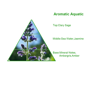 Aceite de Perfume de Primera Calidad, Aceite Esencial de Larga Duración, Aromas Inspirados en Hawis para la Elaboración de Perfumes, Disponible al por Mayor en Dubái - Product Image 2