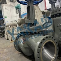 Vanne à opercule double disque en acier inoxydable 316L/304L/CF8M/CF3M/Duplex 2205 3"/6"/8"/10" Classe 150 à brides RF pour applications chimiques