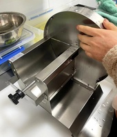 Commerciële Automatische Professionele Elektrische Zoete Aardappel Snijmachine Elektrische Frietsnijder
