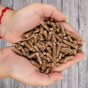 Premium Wood Pellets Supplier Vietnam High Density Biomass Fuel 6mm Diameter Moisture Less Than 10% Clean Burning - Product Image 1