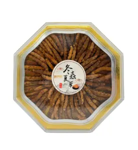 Protein Tinggi Murni Liar Organik Liga Raja Cordyceps Sinensis Miltaris Oral Cordyceps untuk Reishi